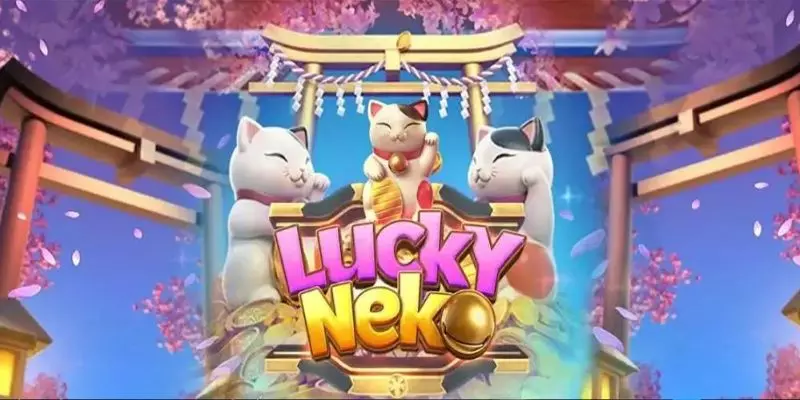 Introducing Lucky Neko